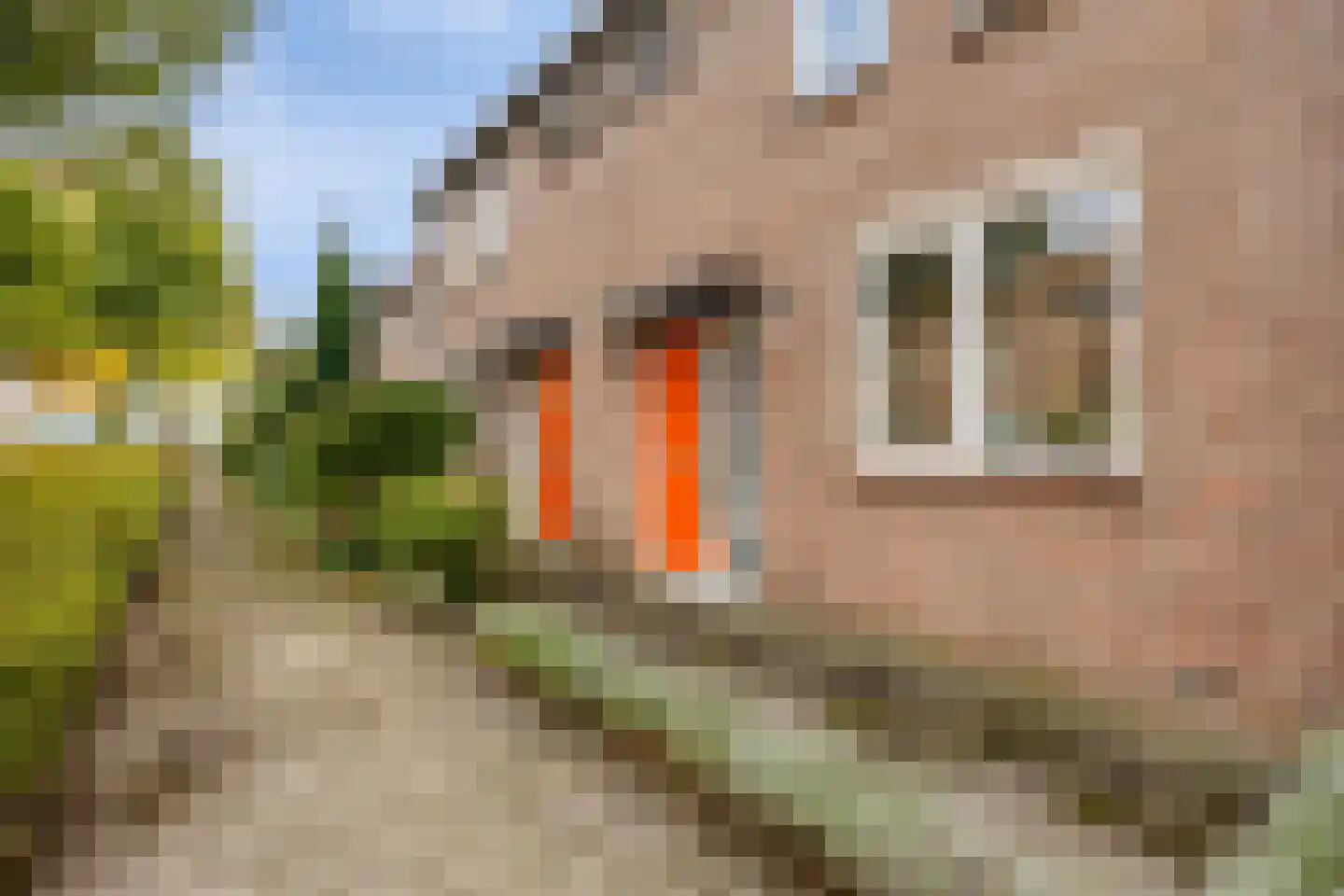 Eerste Lei 2 Rijen thumbnail 33