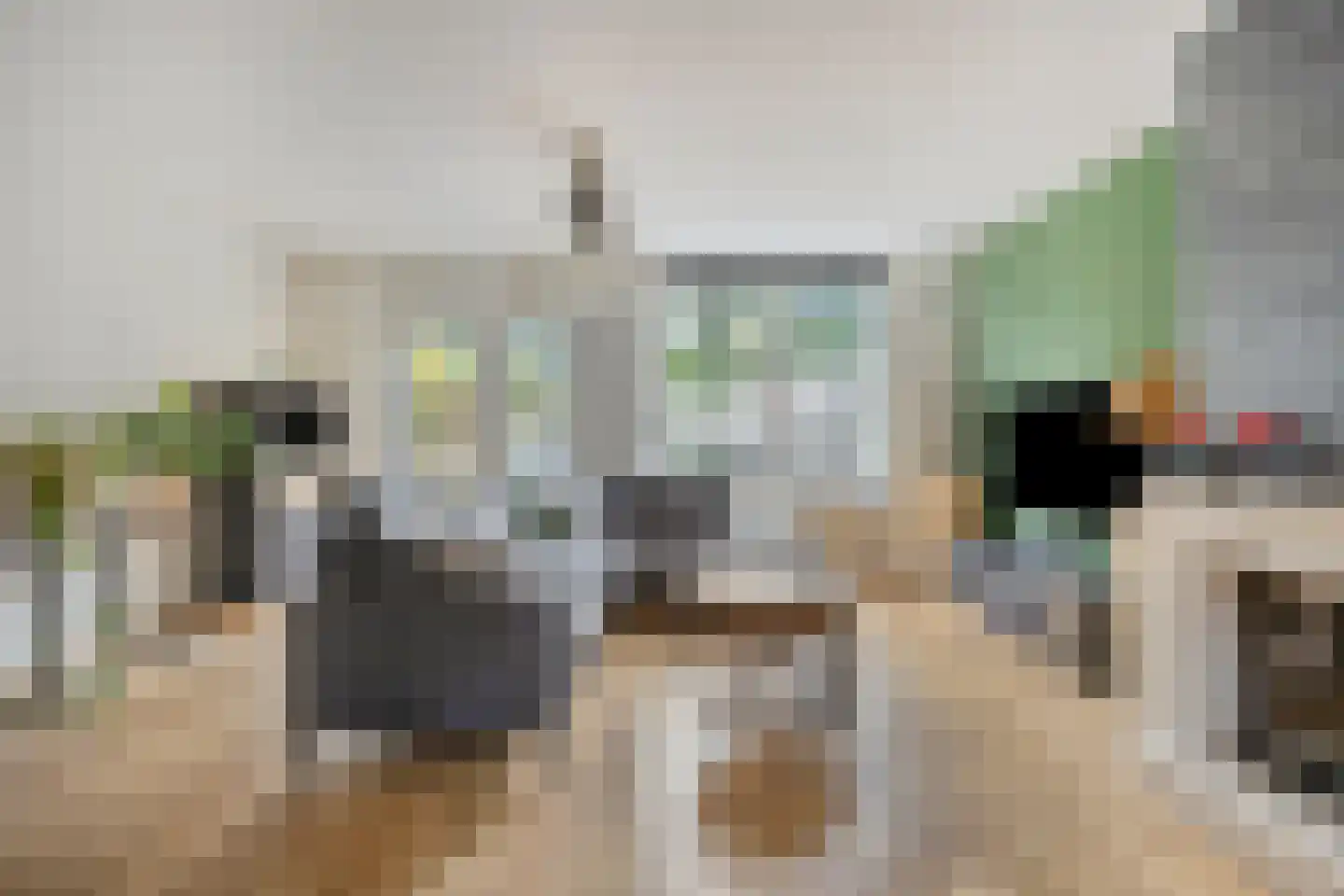 Eerste Lei 2 Rijen thumbnail 4