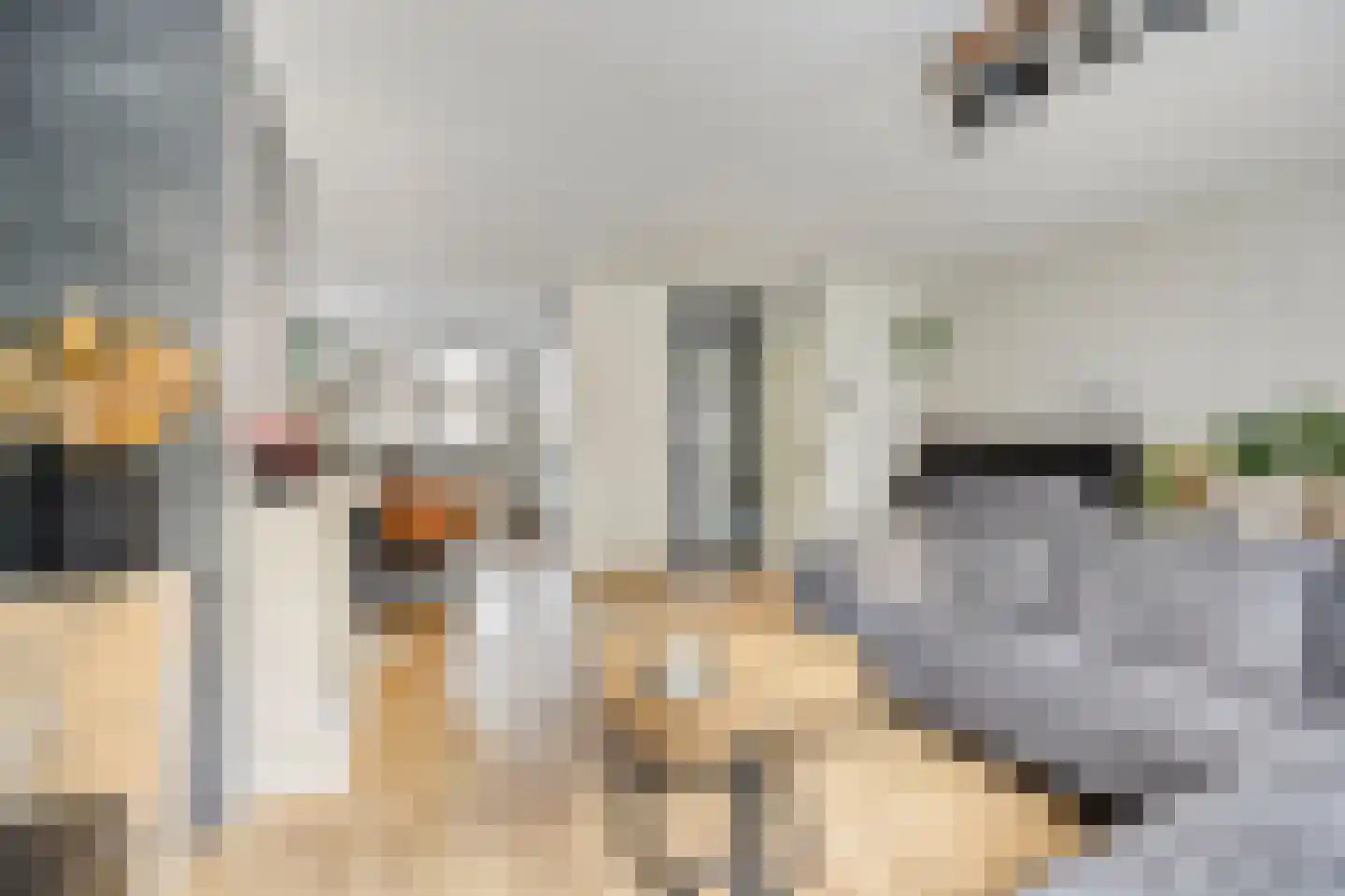 Eerste Lei 2 Rijen thumbnail 5