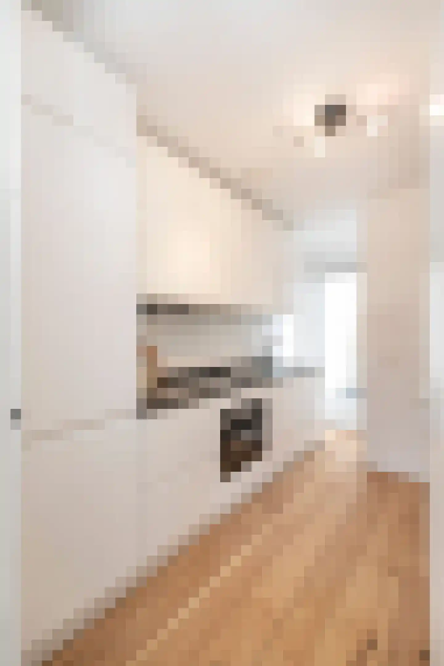 Eerste Leliedwarsstraat 12 C Amsterdam thumbnail 7