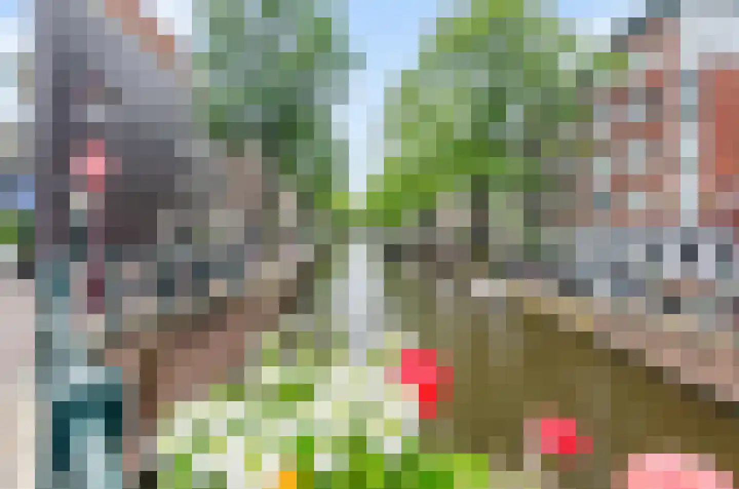 Eerste Leliedwarsstraat 15 O Amsterdam thumbnail 17
