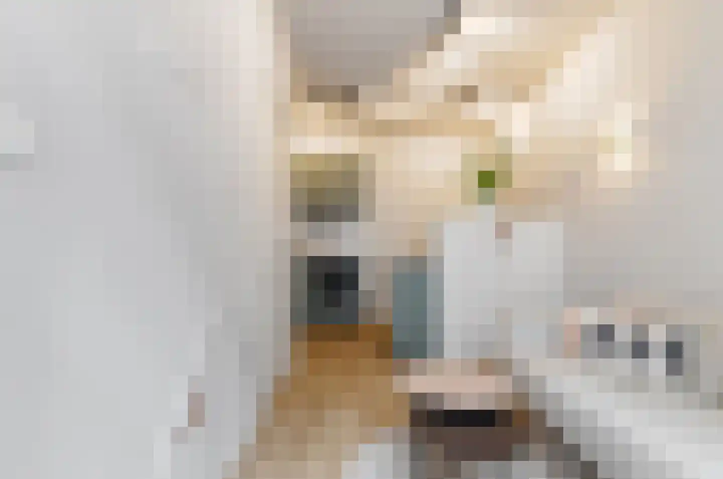 Eerste Leliedwarsstraat 15 O Amsterdam thumbnail 4