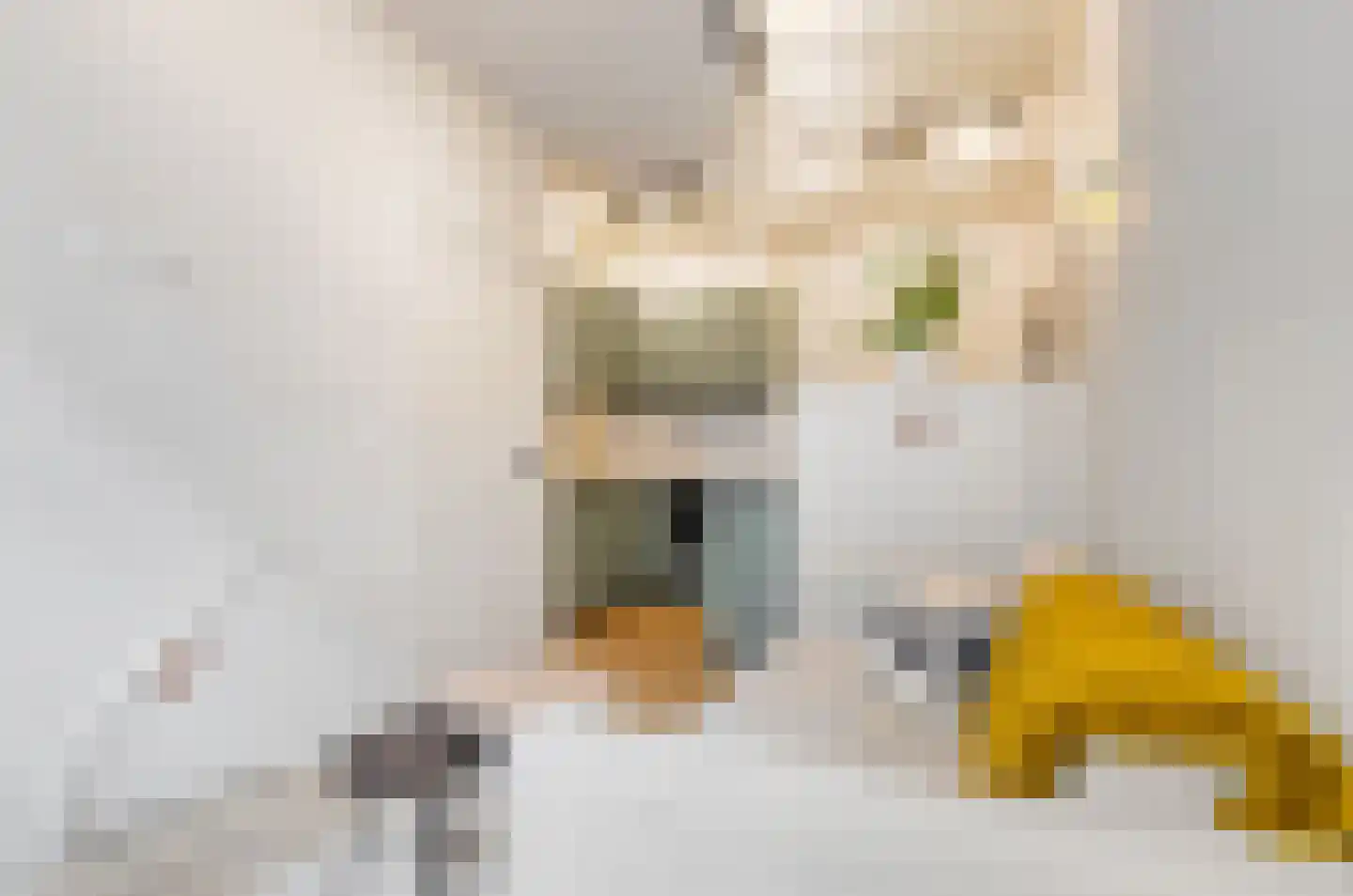 Eerste Leliedwarsstraat 15 O Amsterdam thumbnail 5