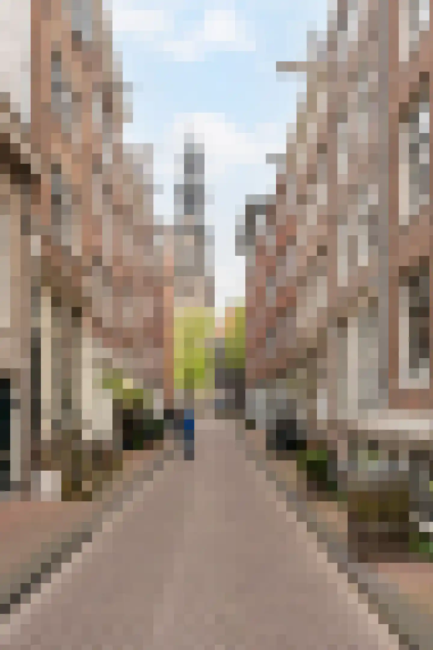 Eerste Leliedwarsstraat 3 Amsterdam foto 2