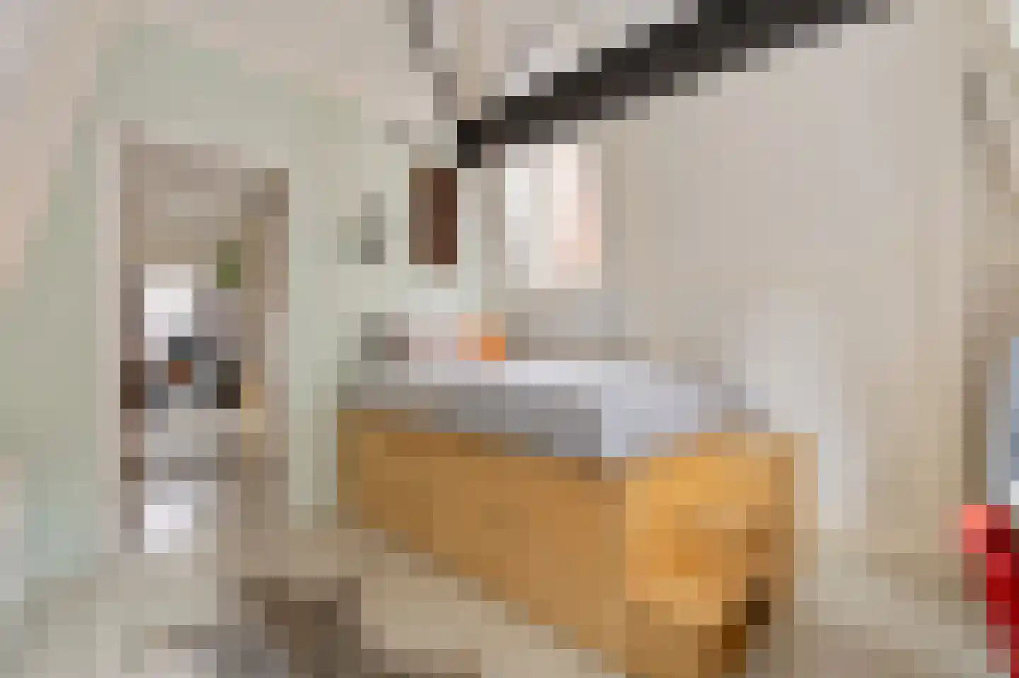 Eerste Leliedwarsstraat 3 Amsterdam thumbnail 26