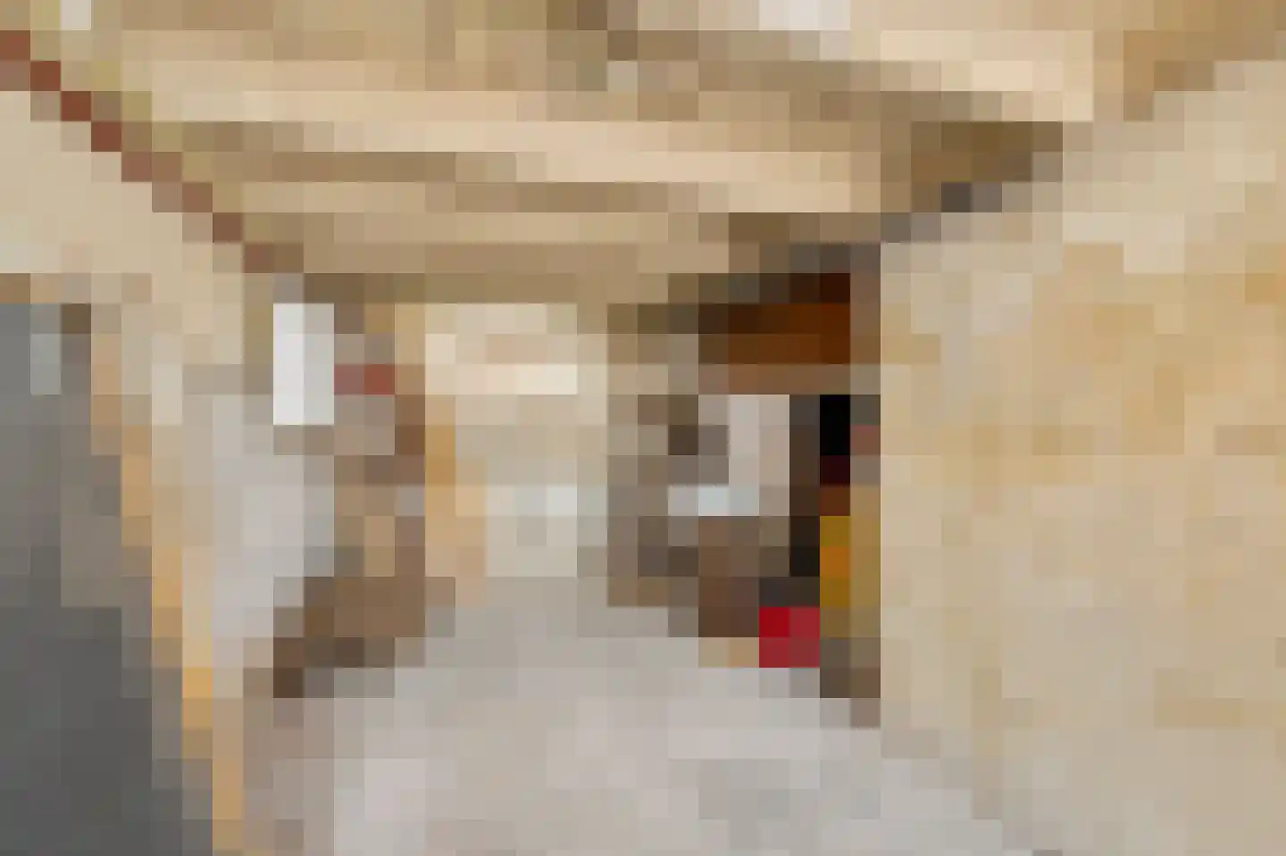 Eerste Leliedwarsstraat 3 Amsterdam thumbnail 31
