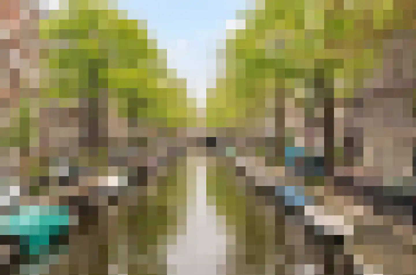 Eerste Leliedwarsstraat 3 Amsterdam thumbnail 33