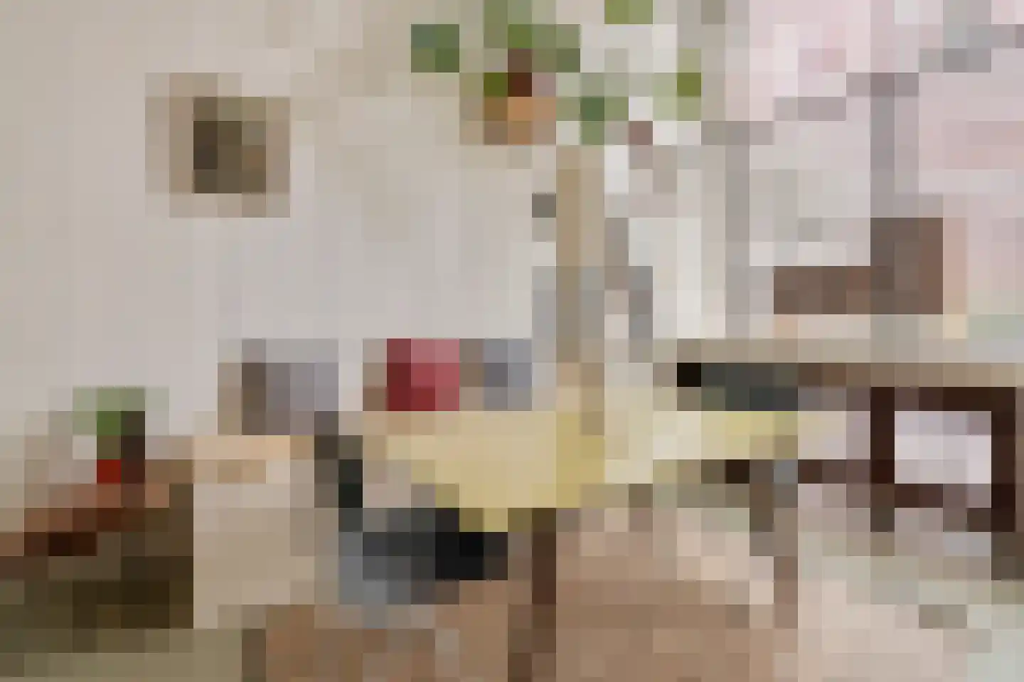Eerste Leliedwarsstraat 3 Amsterdam thumbnail 5