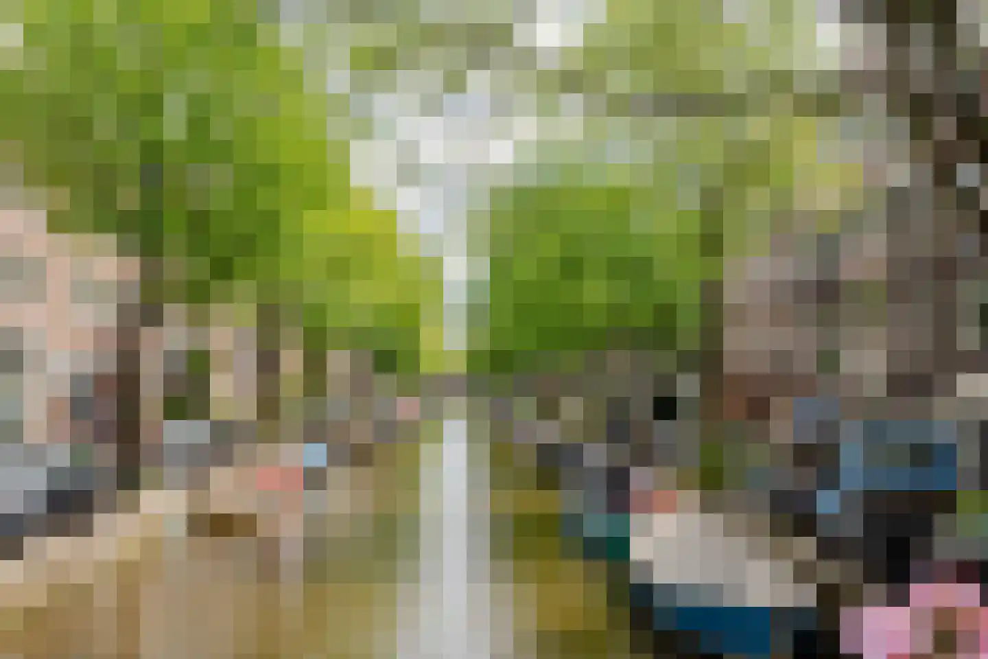 Eerste Leliedwarsstraat 6 1 Amsterdam thumbnail 15