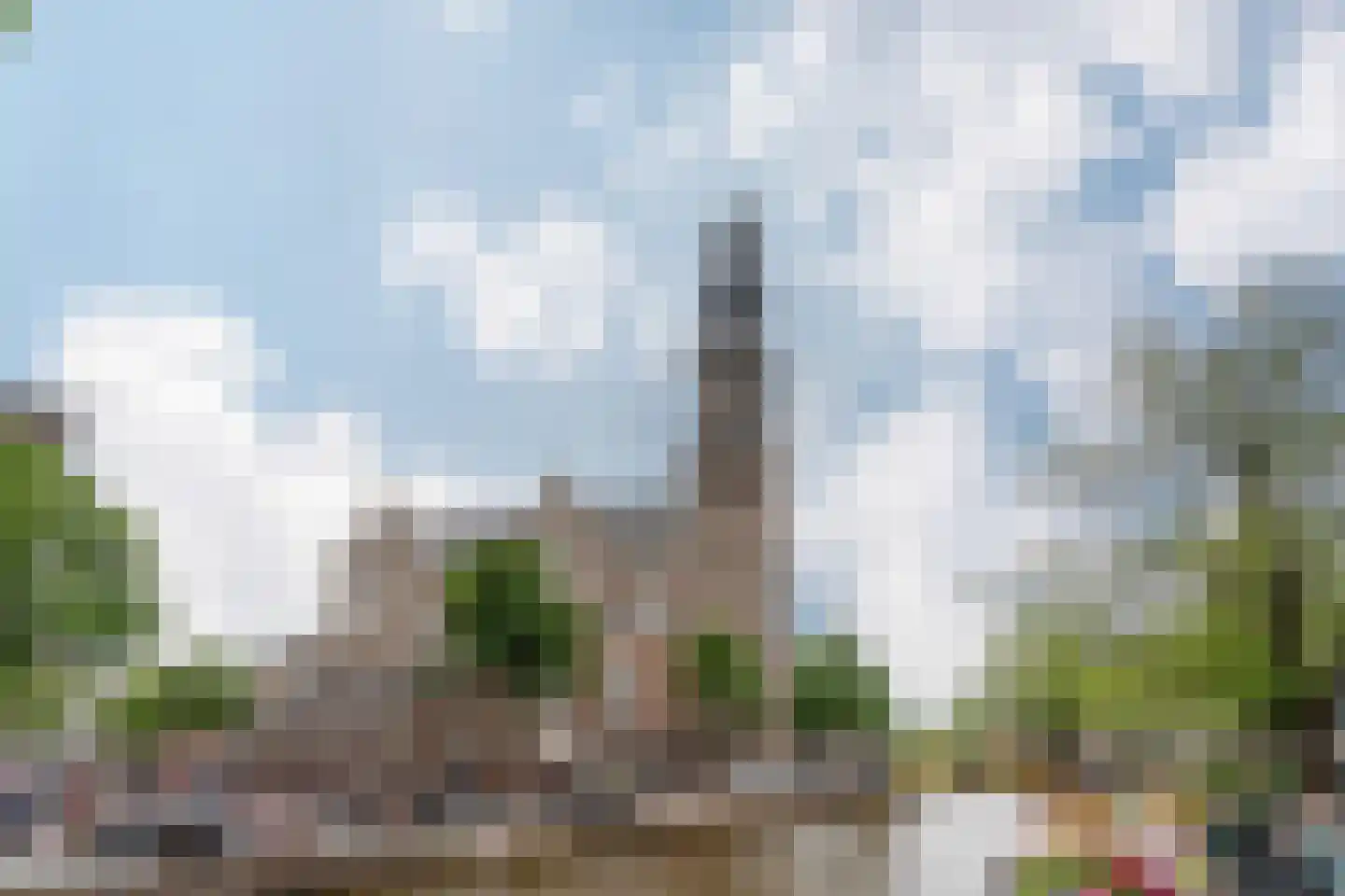 Eerste Leliedwarsstraat 6 1 Amsterdam thumbnail 17