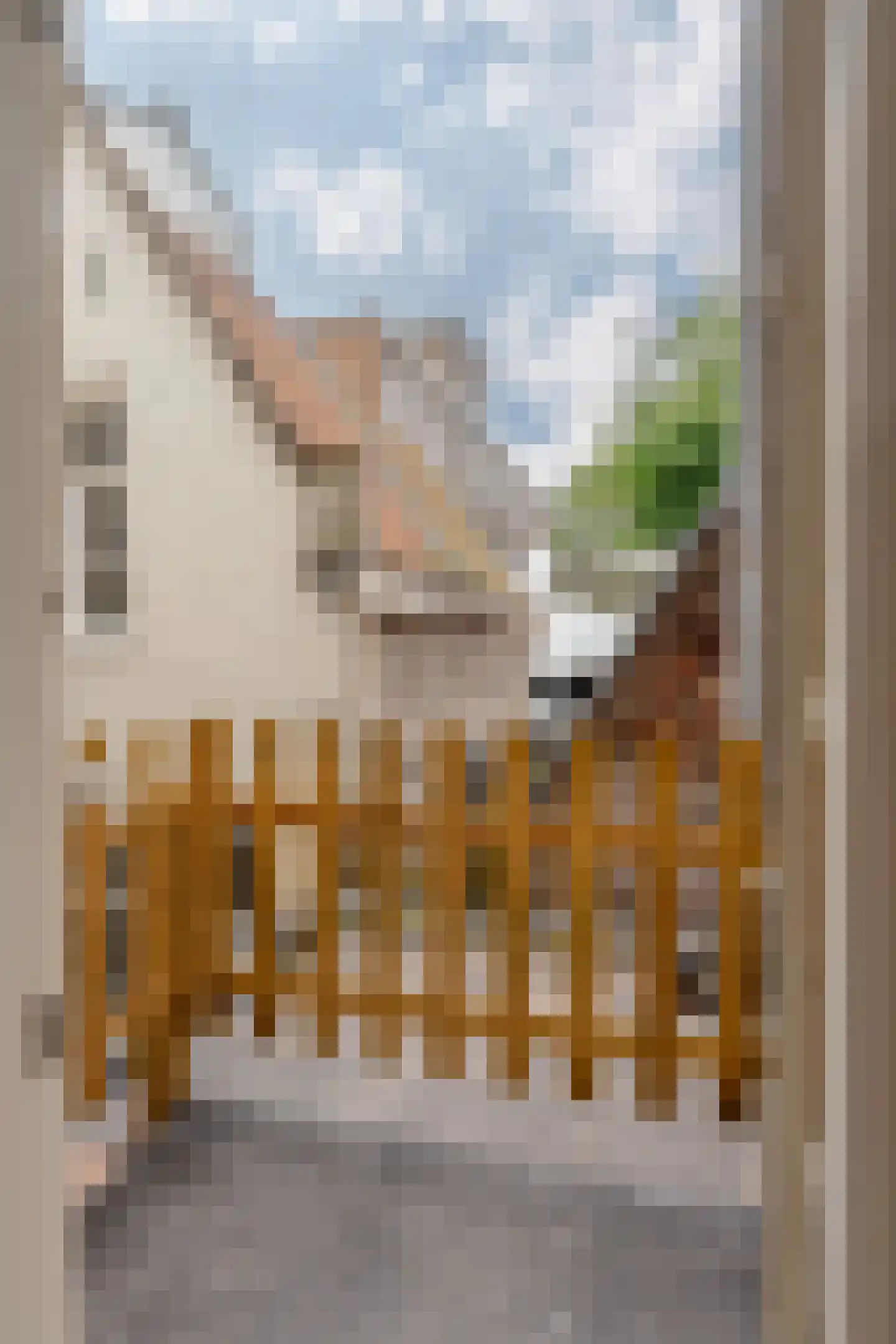 Eerste Leliedwarsstraat 6 1 Amsterdam thumbnail 9