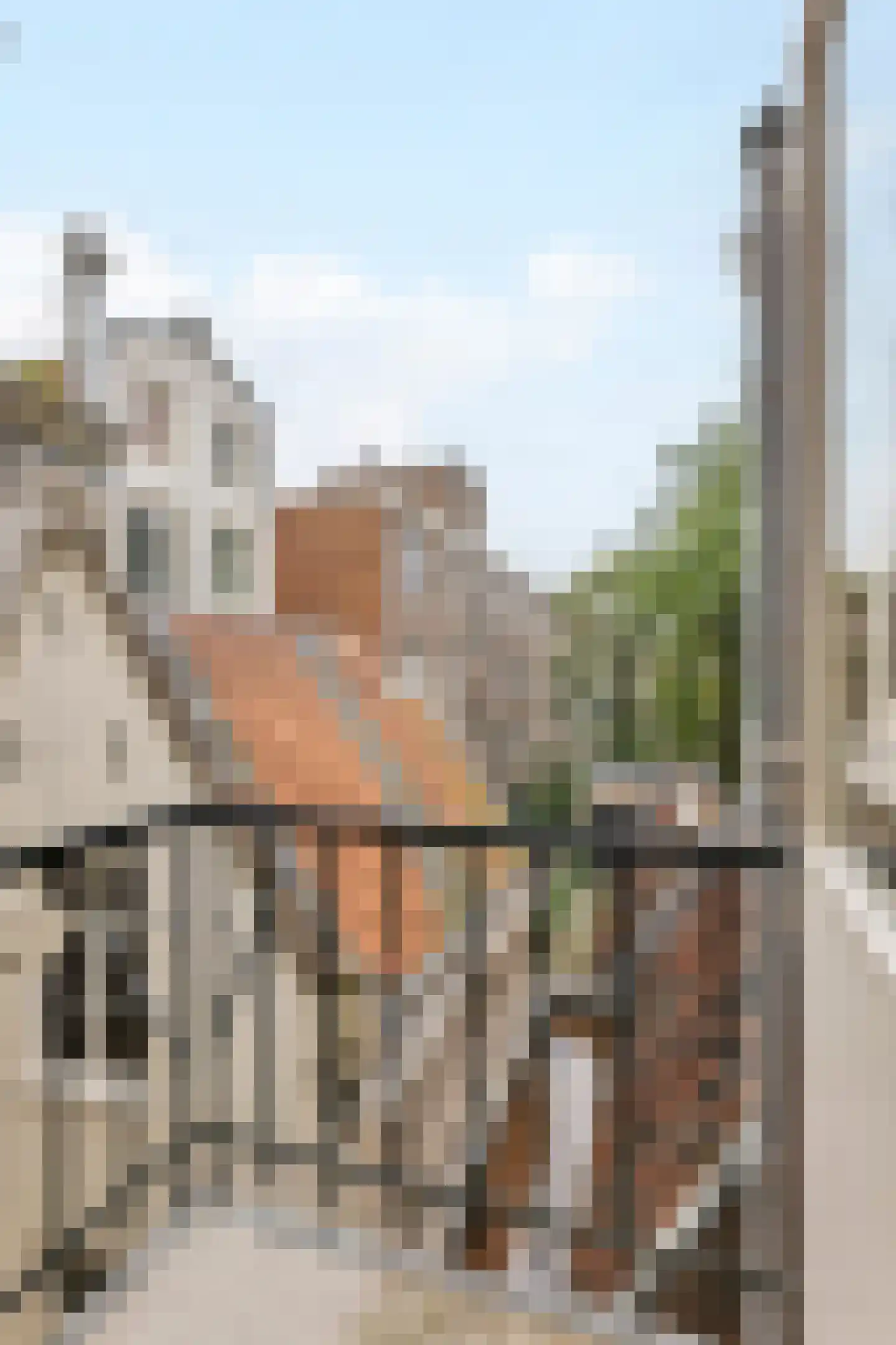 Eerste Leliedwarsstraat 6 2 Amsterdam thumbnail 13