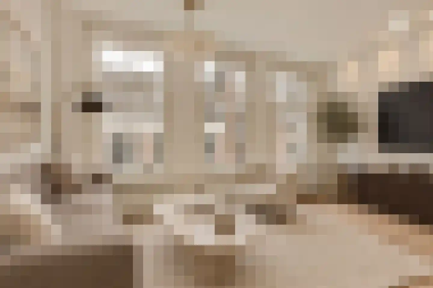 Eerste Leliedwarsstraat 6 2 Amsterdam thumbnail 4