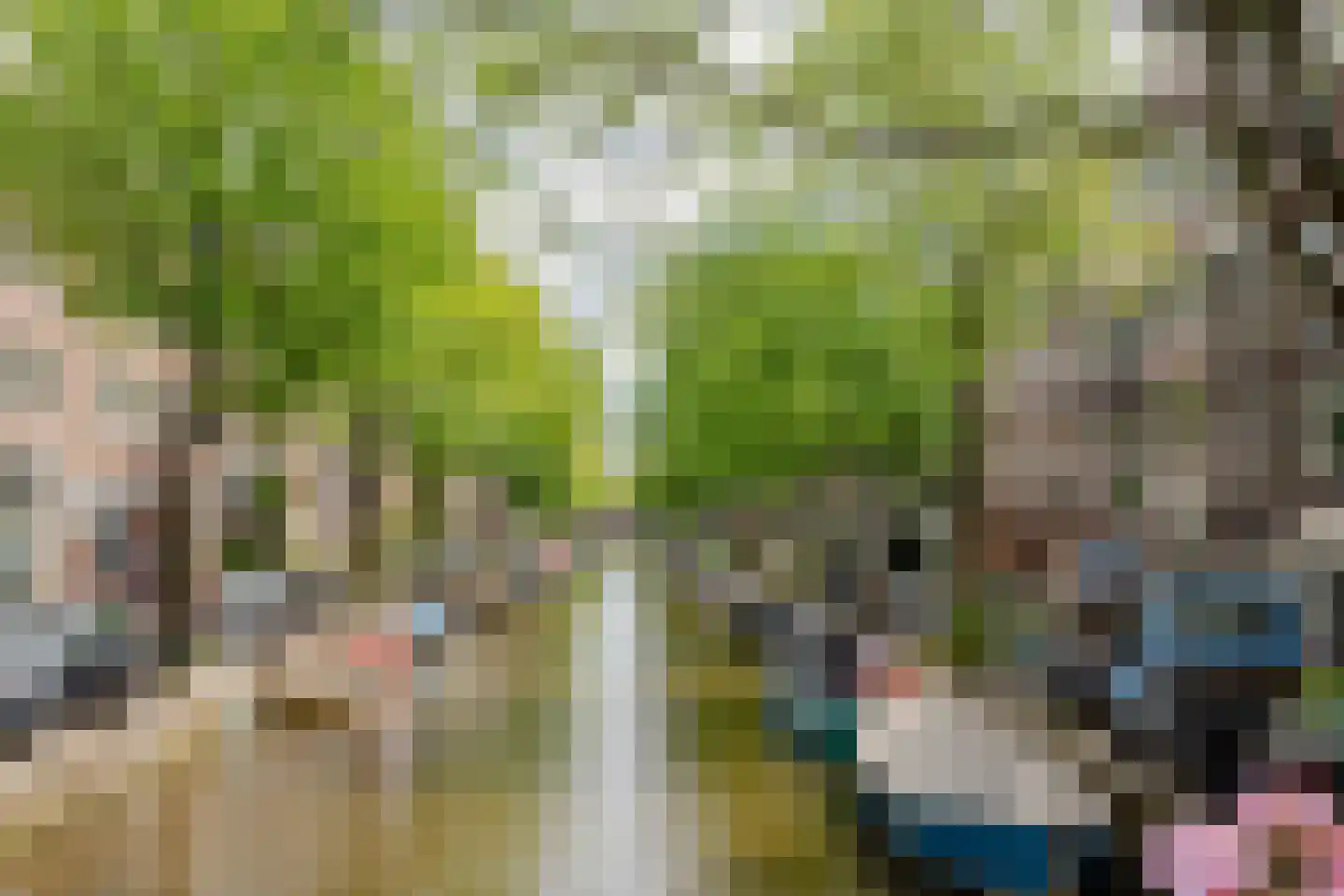 Eerste Leliedwarsstraat 6 H Amsterdam thumbnail 15