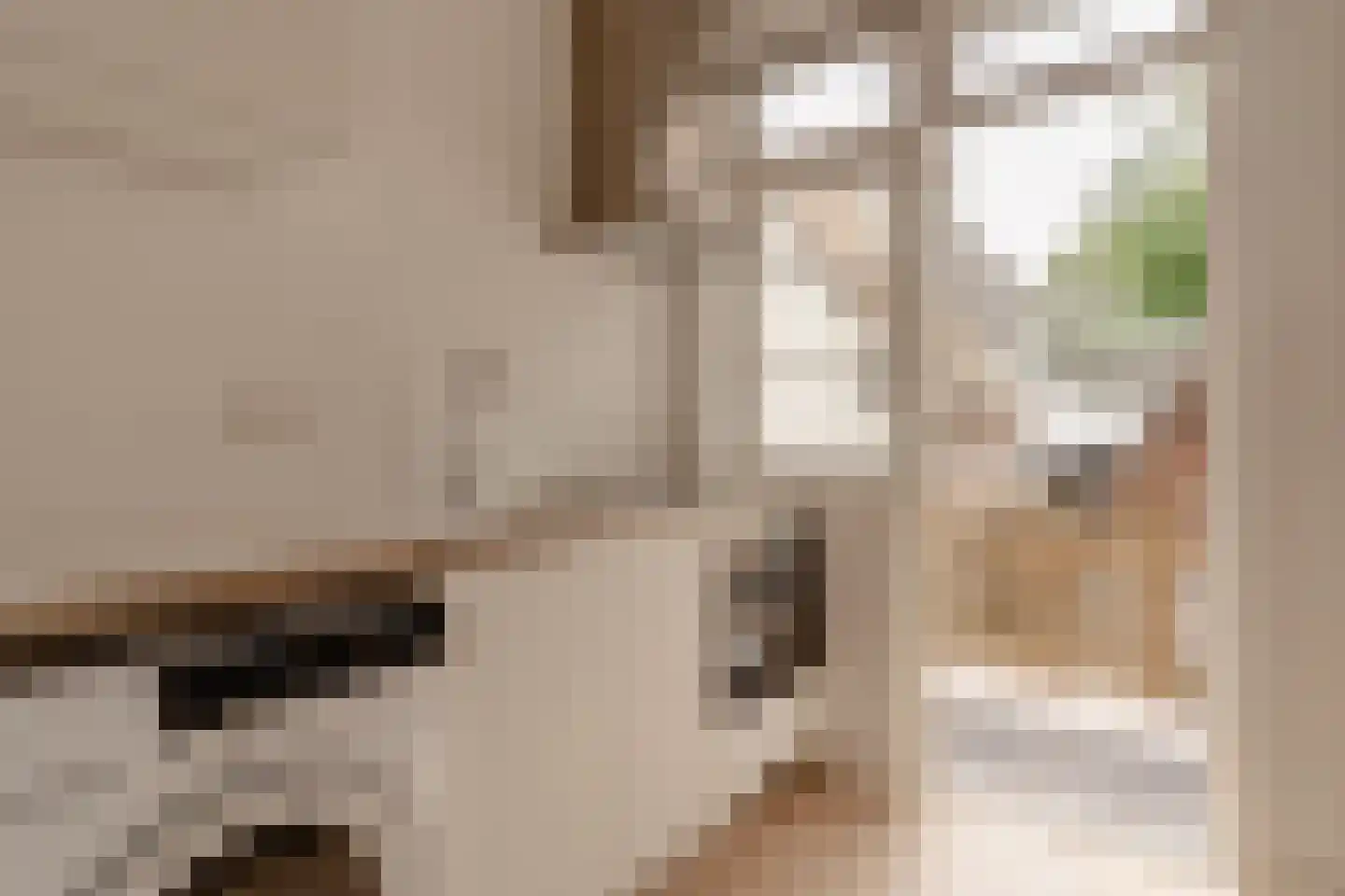 Eerste Leliedwarsstraat 6 H Amsterdam thumbnail 8