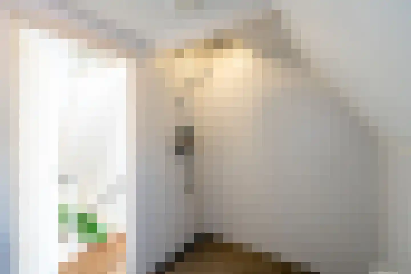 Eerste Lindendwarsstraat 9 A Amsterdam thumbnail 18