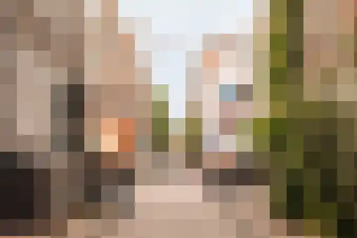 Eerste Looiersdwarsstraat 11 H Amsterdam thumbnail 34