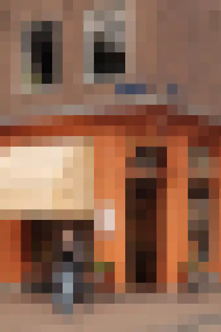 Eerste Looiersdwarsstraat 11 H Amsterdam thumbnail 35