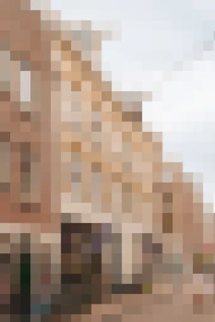 Eerste Looiersdwarsstraat 11 H Amsterdam thumbnail 6