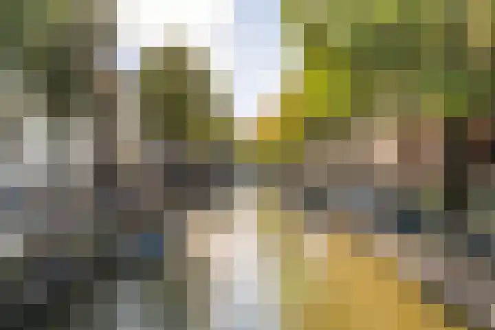 Eerste Looiersdwarsstraat 26 B Amsterdam thumbnail 33