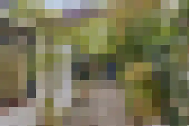 Eerste Markstraat 28 Breda thumbnail 29