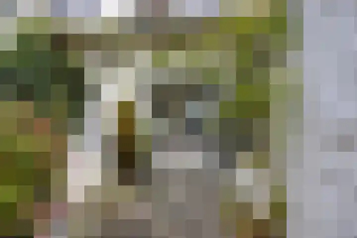 Eerste Markstraat 28 Breda thumbnail 30