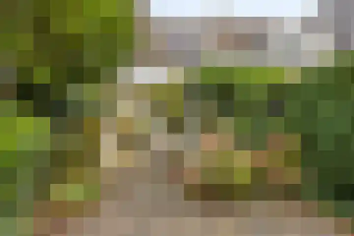 Eerste Markstraat 28 Breda thumbnail 33