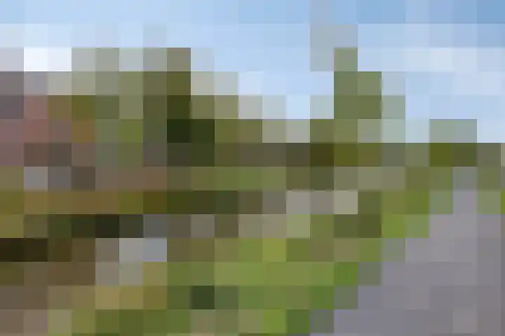 Eerste Markstraat 28 Breda thumbnail 37