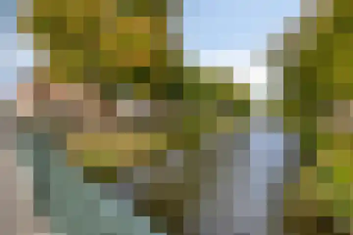Eerste Markstraat 28 Breda thumbnail 39