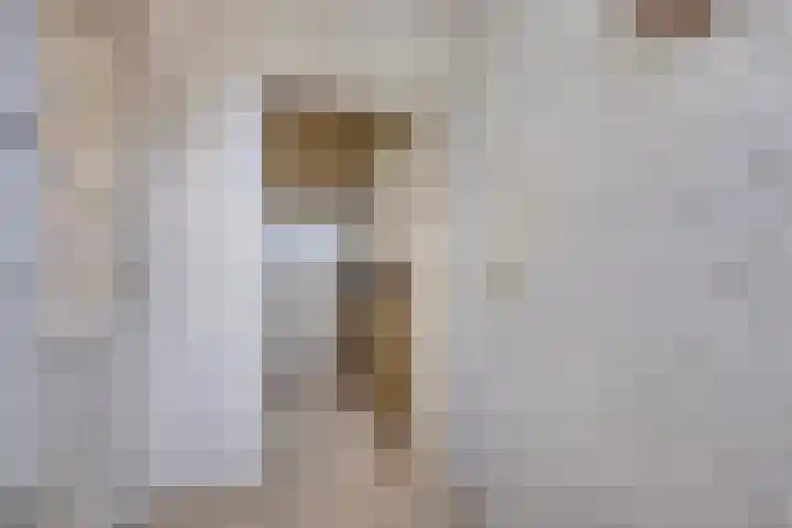 Eerste Markstraat 28 Breda thumbnail 6