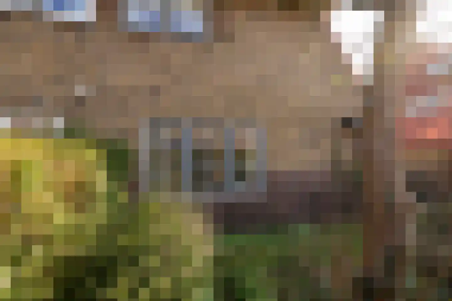 Eerste Molenweg 25 Blaricum foto 2