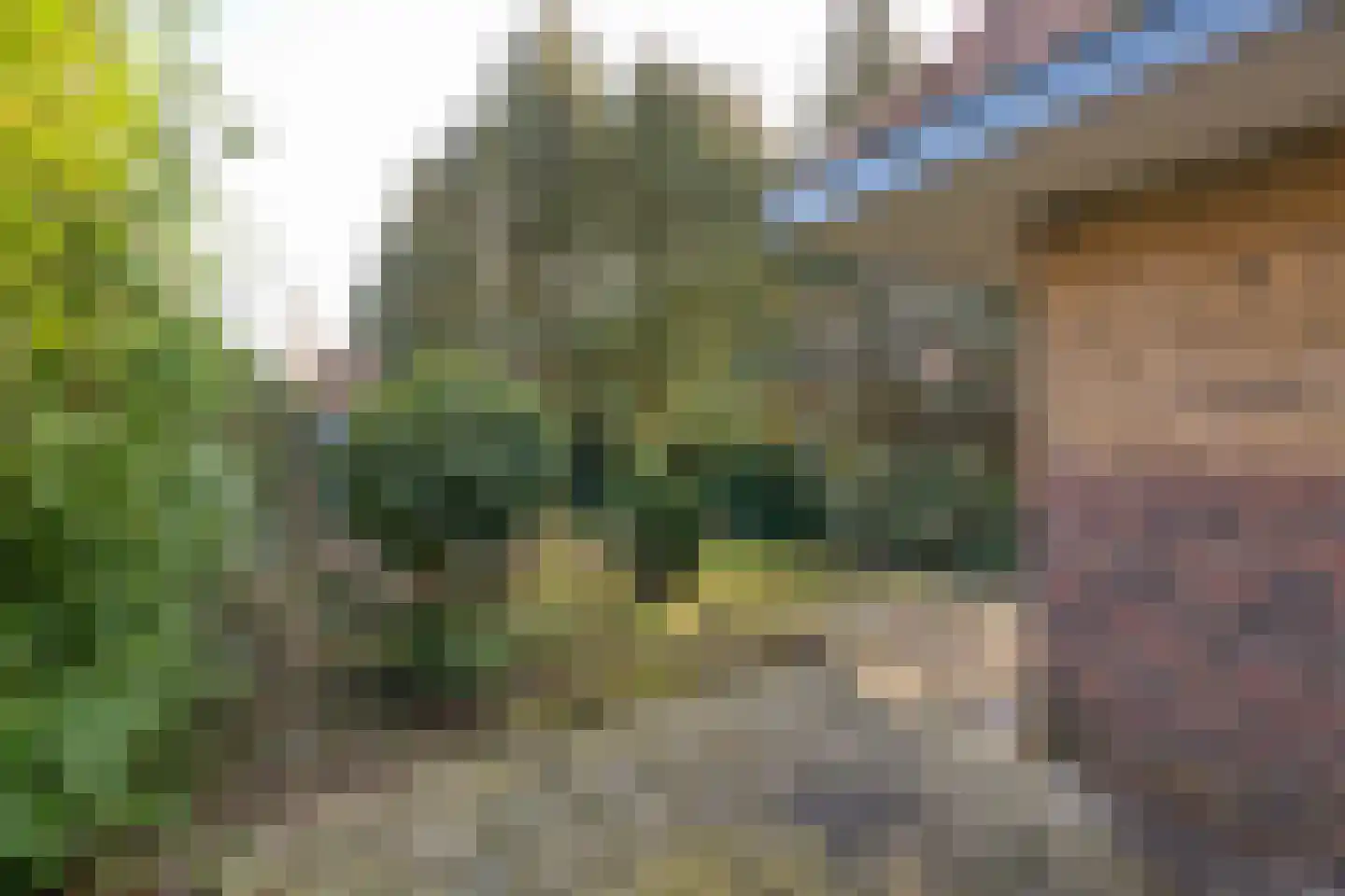 Eerste Molenweg 25 Blaricum thumbnail 27