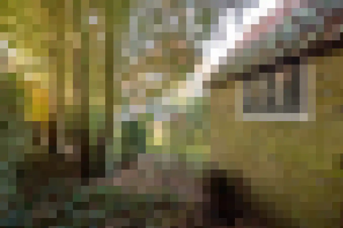 Eerste Molenweg 25 Blaricum thumbnail 28