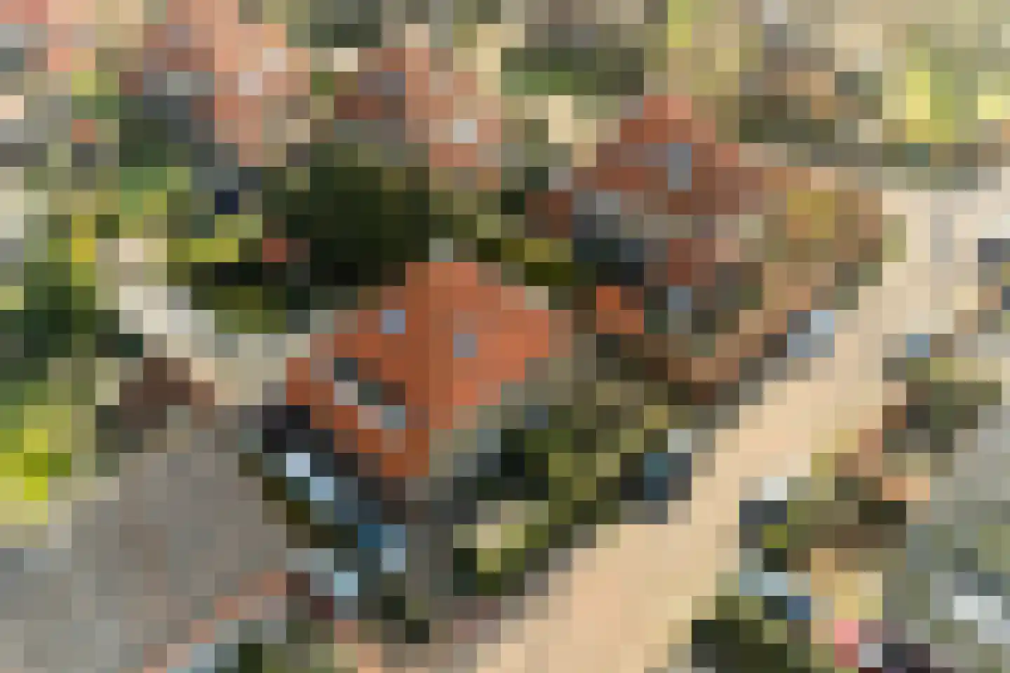 Eerste Molenweg 25 Blaricum thumbnail 31