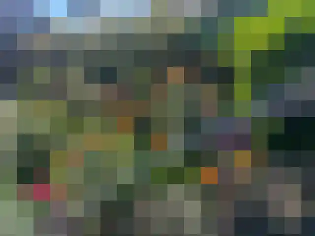 Eerste Molenweg 31 Blaricum thumbnail 12