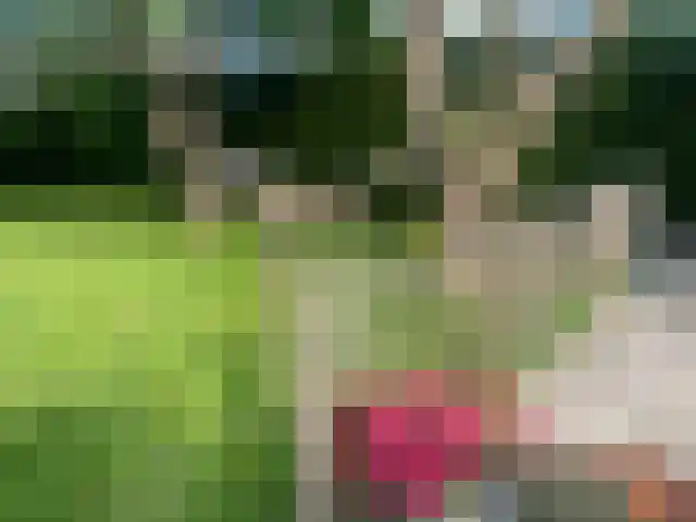 Eerste Molenweg 31 Blaricum thumbnail 14