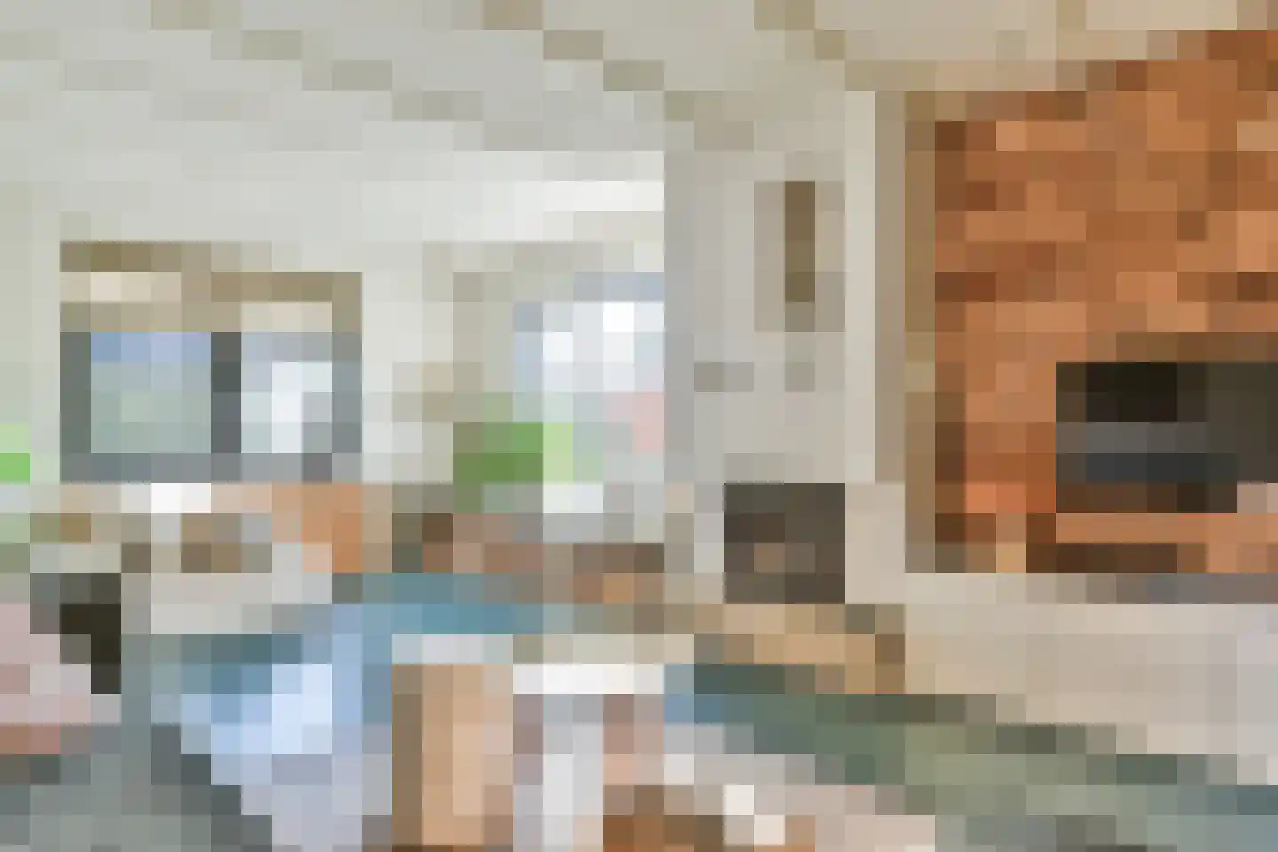 Eerste Molenweg 31 Blaricum thumbnail 21