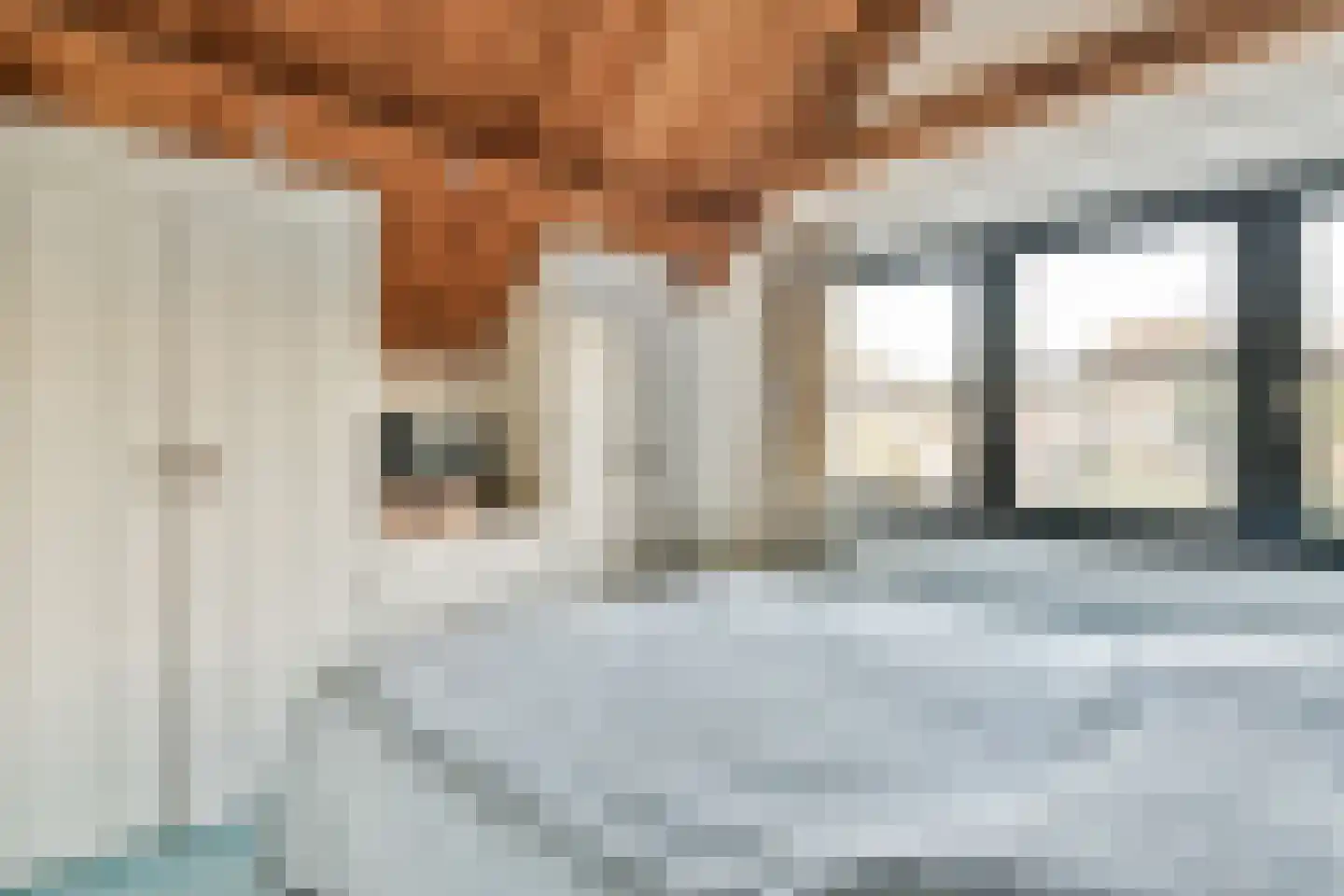 Eerste Molenweg 31 Blaricum thumbnail 30