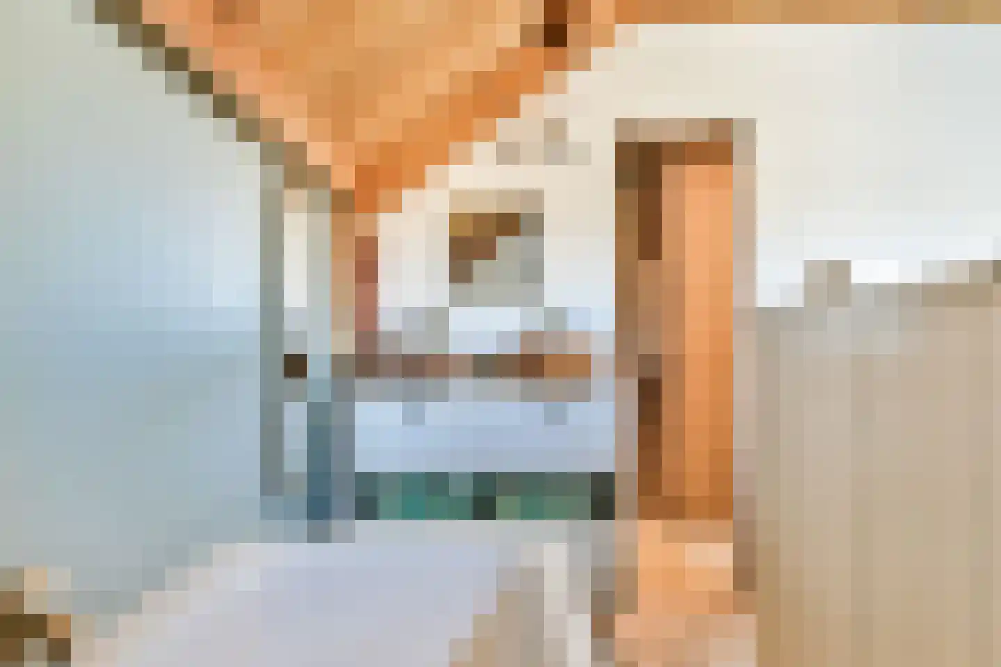 Eerste Molenweg 31 Blaricum thumbnail 32