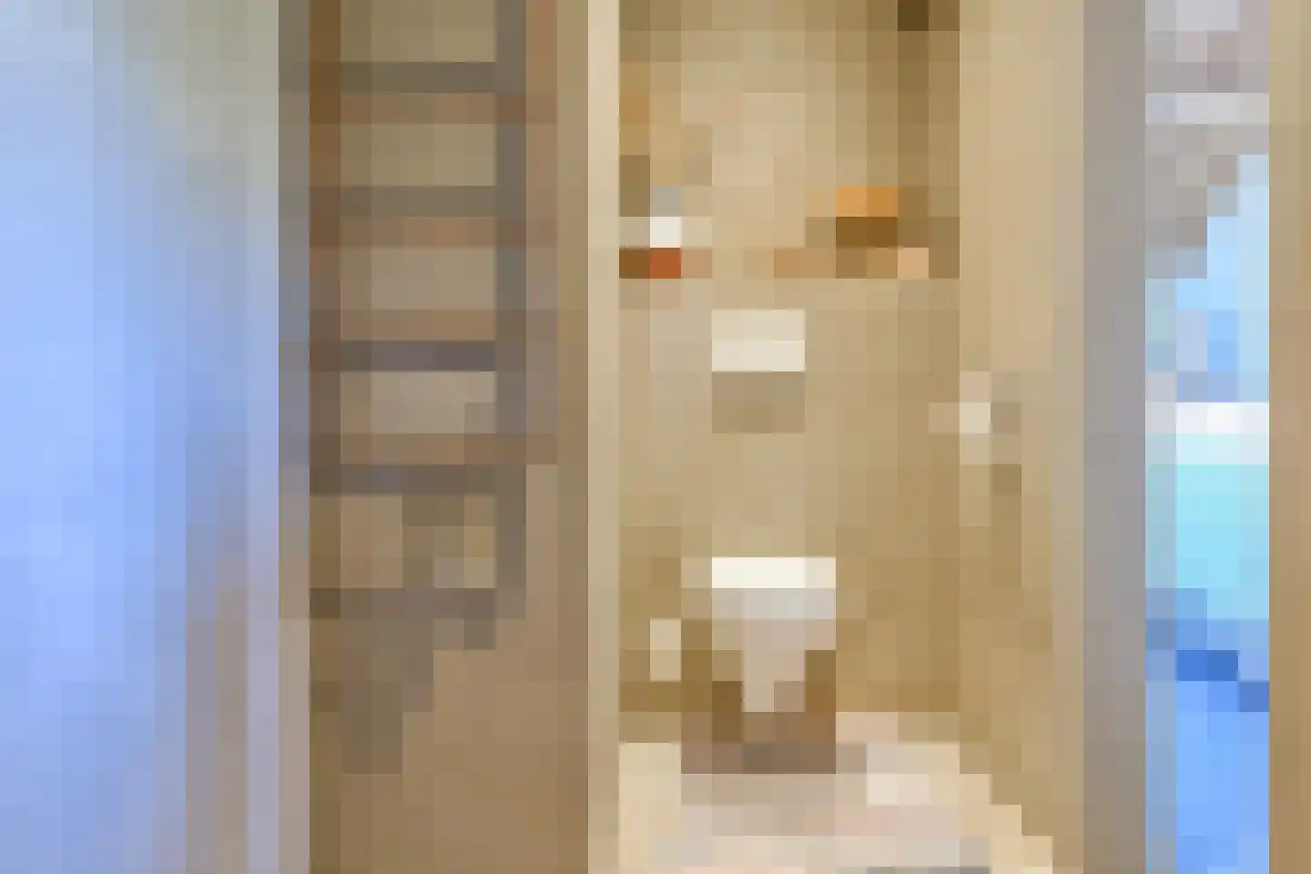 Eerste Molenweg 31 Blaricum thumbnail 33
