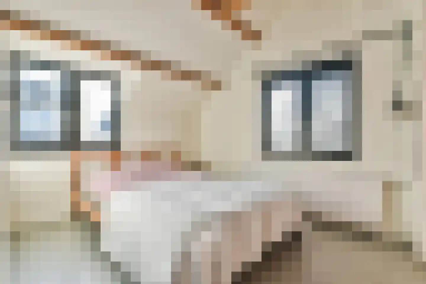 Eerste Molenweg 31 Blaricum thumbnail 38