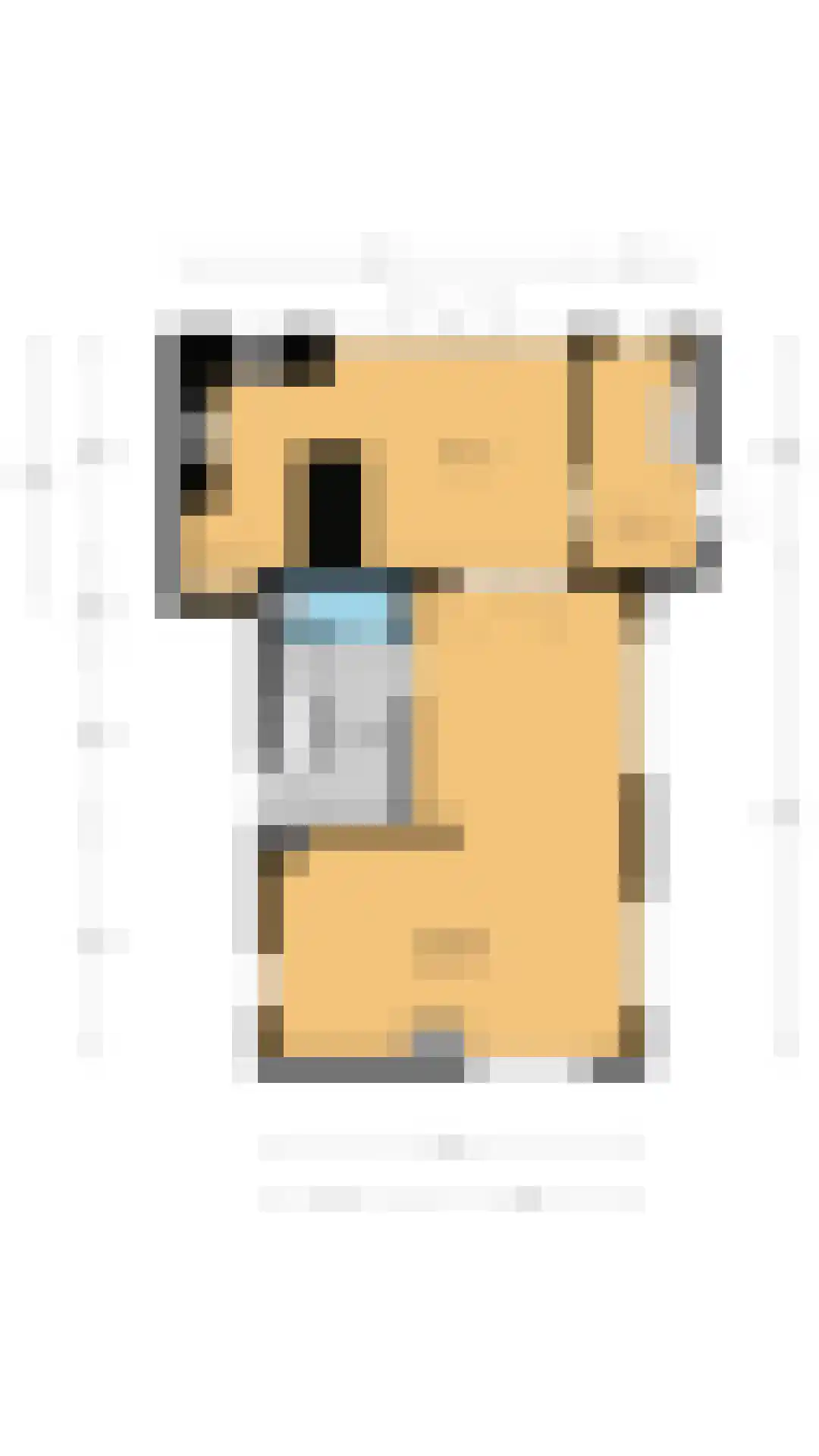 Eerste Molenweg 31 Blaricum thumbnail 47