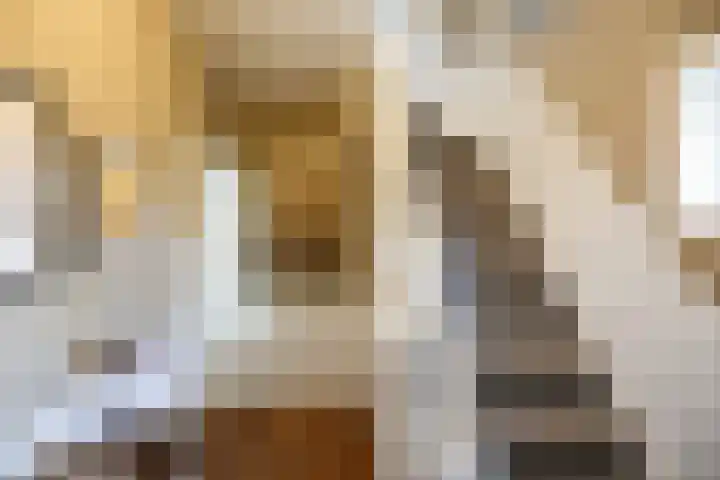Eerste Molenweg 48 Blaricum thumbnail 16
