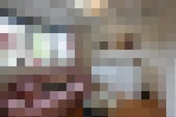 Eerste Molenweg 48 Blaricum thumbnail 22