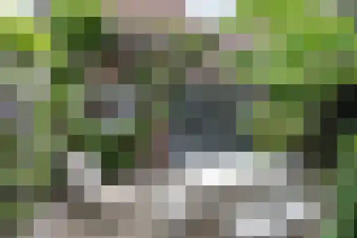 Eerste Molenweg 48 Blaricum thumbnail 32