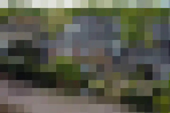 Eerste Molenweg 48 Blaricum thumbnail 33
