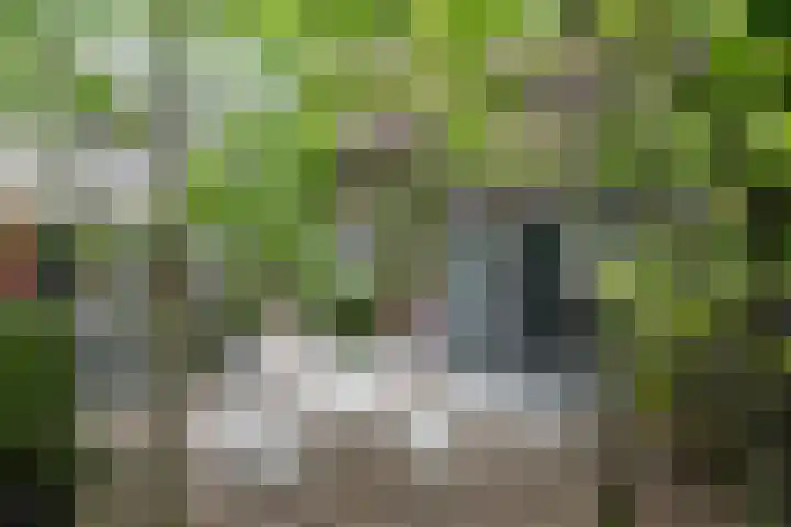 Eerste Molenweg 48 Blaricum thumbnail 4