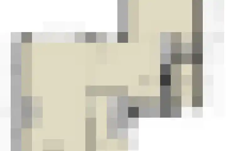 Eerste Molenweg 48 Blaricum thumbnail 5