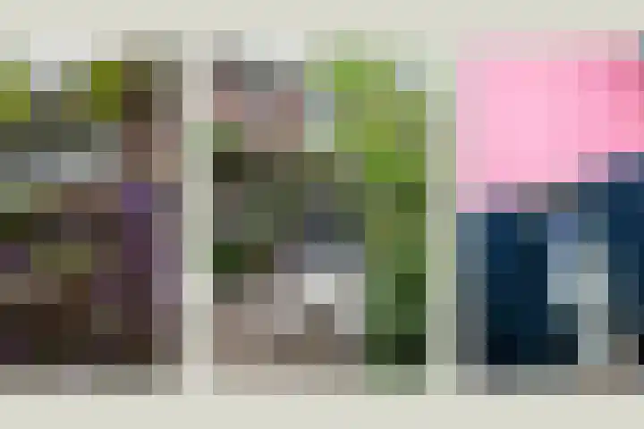 Eerste Molenweg 48 Blaricum thumbnail 6