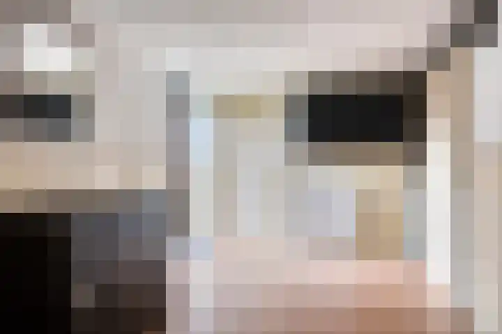 Eerste Morgen 12 's-Hertogenbosch thumbnail 12